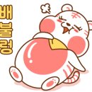 깐튀남