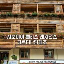 산장세탁소 | 돌로미티 가족여행 호텔 숙소 추천 래디슨레지던스 사보이아팰리스 코르티나담페초 숙박후기 동계올림픽