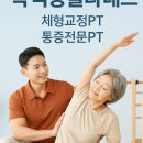 박현체형관리 네이버블로그