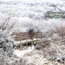 한국관광공사가 소개하는 가장 완벽한 겨울 여행지 5선 이미지