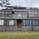 청벽거북 이미지