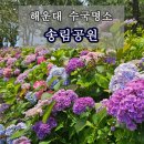 해운대 수국명소 송림공원 이미지