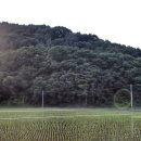 의령 고산재 이미지