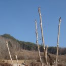 겨울식탁 이미지