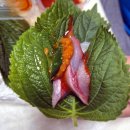 어가활어횟집 | 해운대 어가횟집 모듬회 소(小)자 포장, 푸짐한 저녁 한상