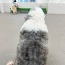 몽몽스타 이미지