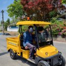 파파모터스 이미지