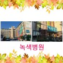 원진재단부설  녹색병원 이미지