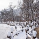 하얀이불 이미지