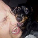 바카티오 | 개강따윈 무시하고 도망쳐 (3월)