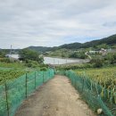 서촌마을회관 이미지