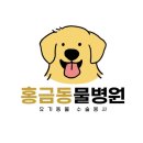 홍금동물병원 이미지