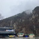 강남농장 영월지점 | 괴산 서울농장 체험 진짜 나만 알고 싶은 곳