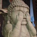 시크헤어 이미지