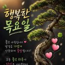 사나이 부르스. 그 사람 이름은 잊었지만 이미지