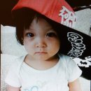 도도블리 이미지