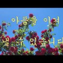 김판출 사랑 시 연속듣기 6편 이미지