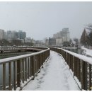 풍암호수공원 이미지