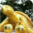 복음정보통신
