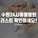 0121-1110= | 수원24시동물병원 리스트 확인하세요!