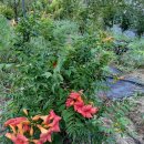 인동농장 이미지