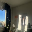 2학기(3월~6월) / 식물 그림 그리기 | 2025