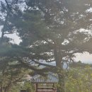 도당1리 이미지