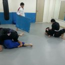 동천백산유술회대전BJJ