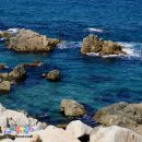 언덕위에 풍차 이미지