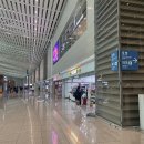 스카이팜약국 | 신혼여행 : 11박13일 (파리행 대한항공 탑승후기,대한항공 기내식,파리 샤를드골 입국 후기,오마이파리...