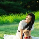 펫 온 - Pet on 이미지