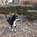 니멍내멍 이미지