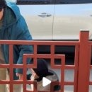 경주현대유스타운 이미지