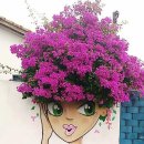 꽃사세요 꽃 이미지