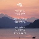장터족발 이미지