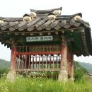 장성골농장 네이버블로그