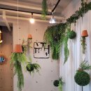 유정1995 이미지