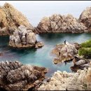 풍양중학교 이미지