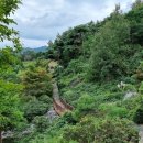 초록숲공원 이미지