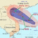 베트남 5호 태풍 하노이쪽으로 이동중 이미지