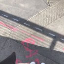미서부 16박 18일 미국으로 떠나는 여행- 1편(샌프란 시스코 알카트라즈 감옥 섬 인 앤 아웃 추천 유심...