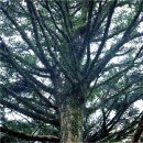 천개의 등불..천등산 그리고 총회 이미지