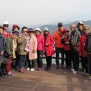 원주시노인종합복지관 이미지