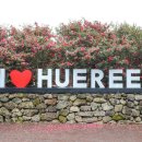 오름약국 이미지