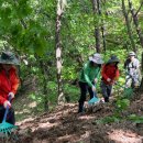소치농장 이미지