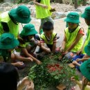 애솔어린이집 이미지