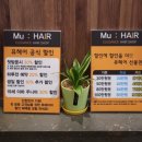 뮤 미용실