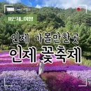 용대관광지 | 2024 인제 꽃축제 용대관광지 가을 강원도 가볼만한곳 추천해요