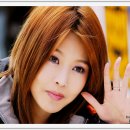 선희슈퍼 - 춘천시 효석로9번길 16 | 선희슈퍼