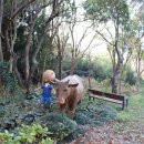 용해동주민센터 이미지